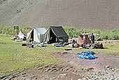Ladakh - horse men on tle trekking routes